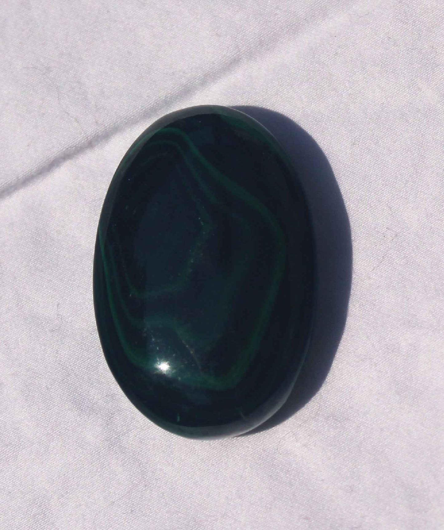 Malachite Palm