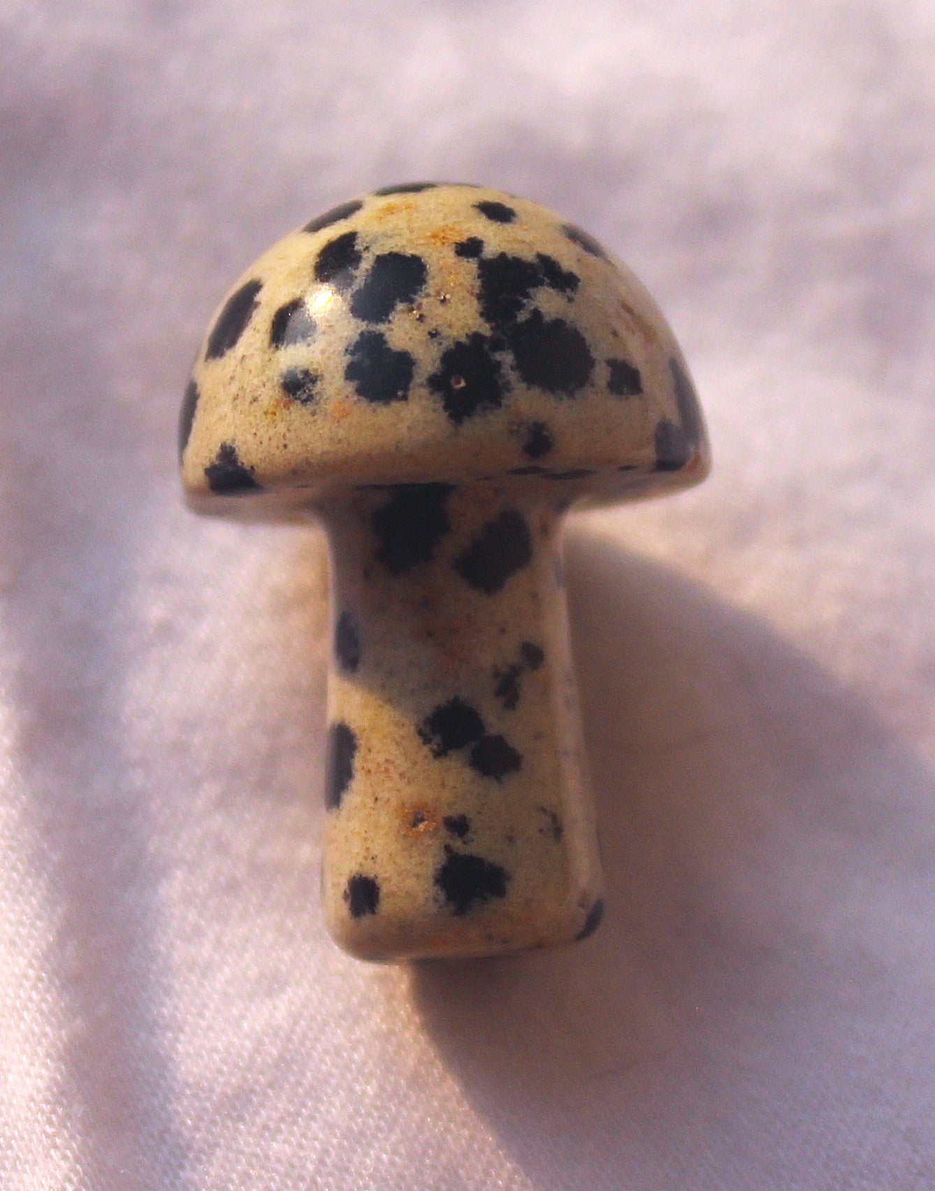 Mini Mushrooms