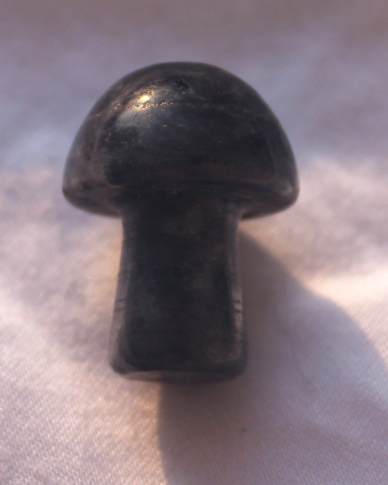 Mini Mushrooms