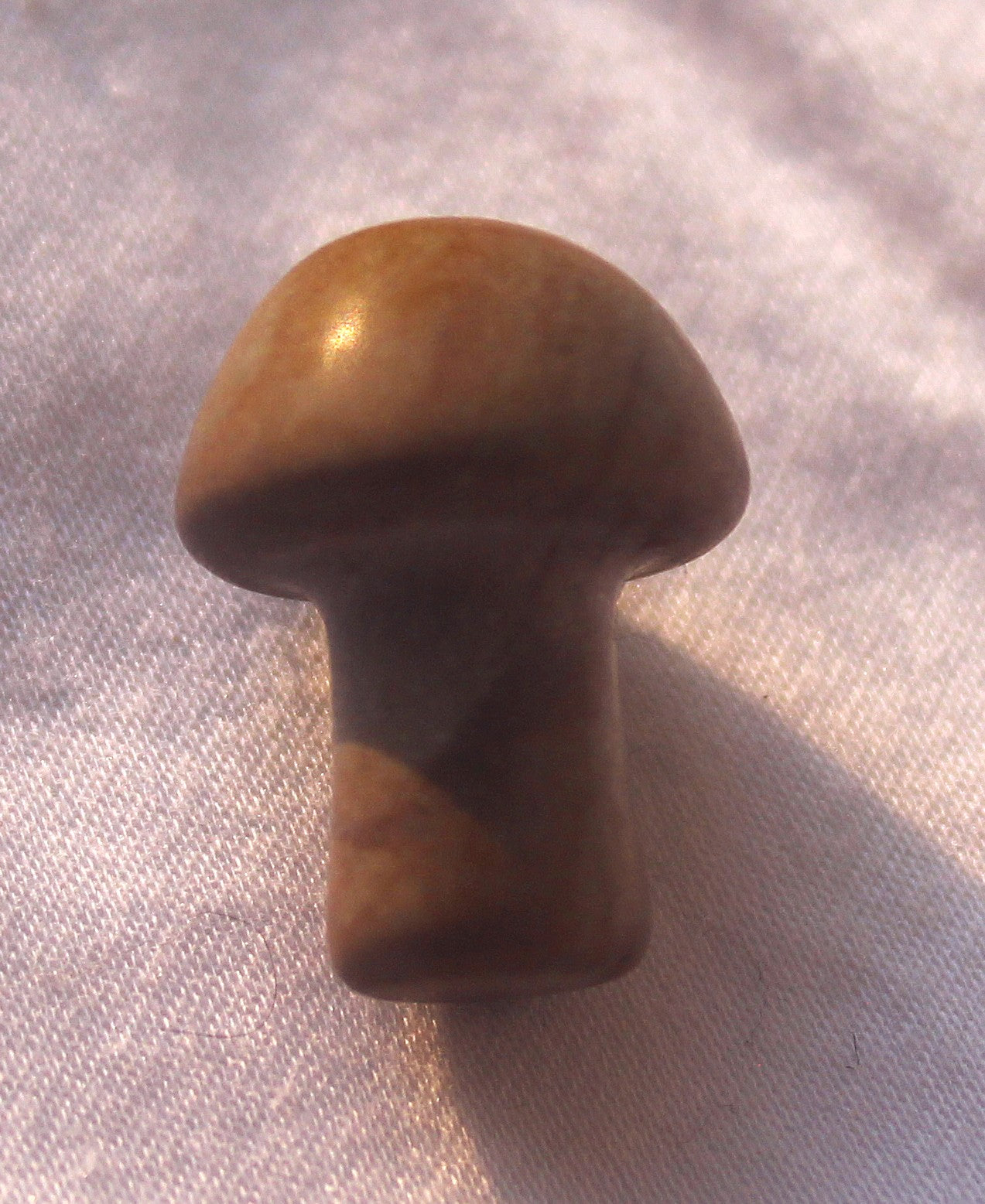 Mini Mushrooms