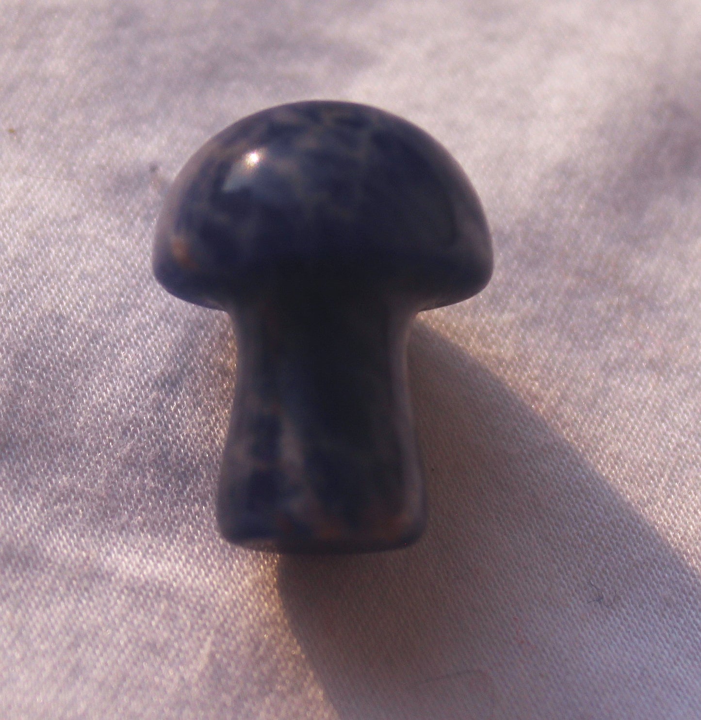 Mini Mushrooms