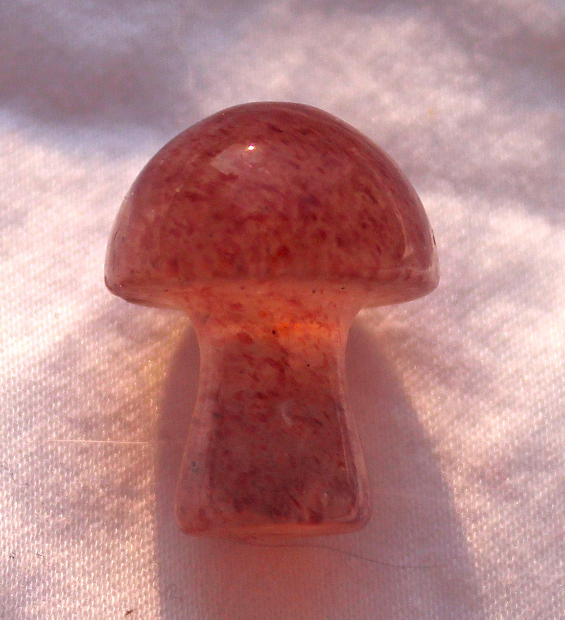 Mini Mushrooms