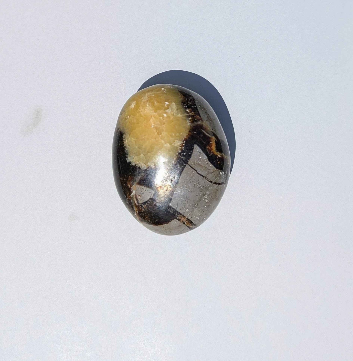 Septarian Palm Stones