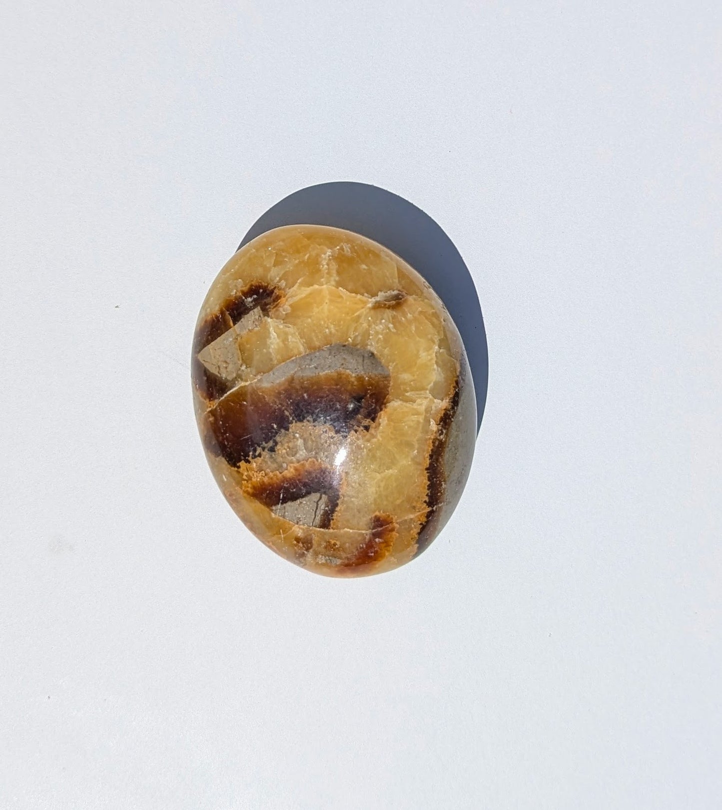 Septarian Palm Stones