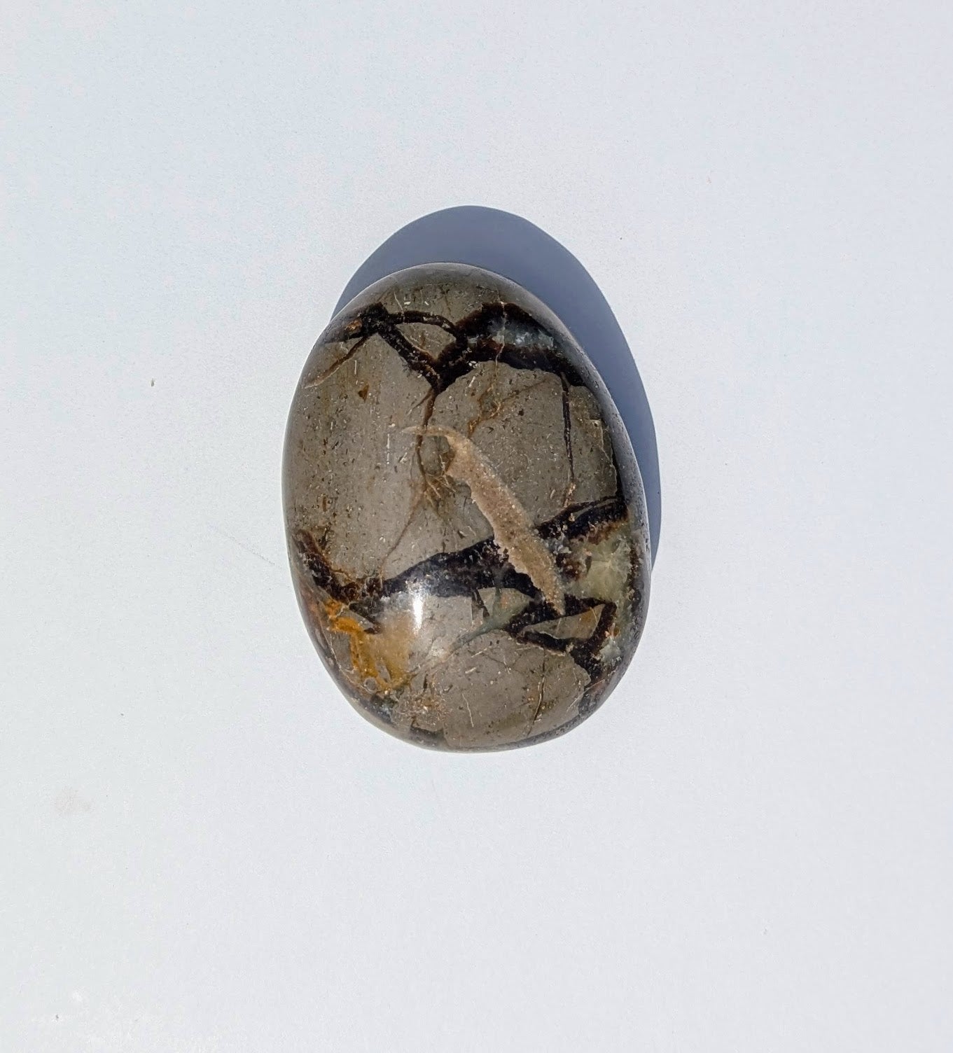 Septarian Palm Stones