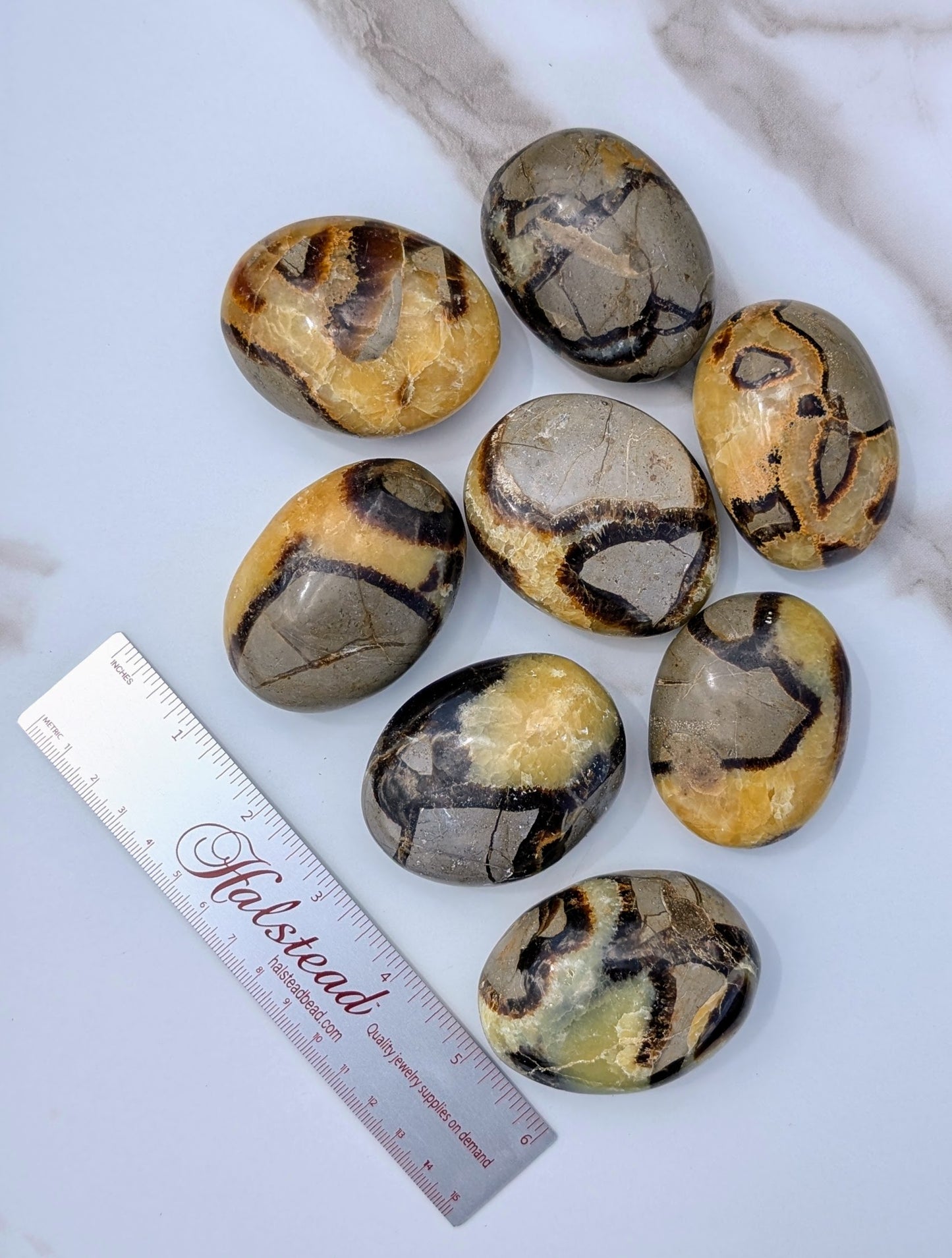 Septarian Palm Stones