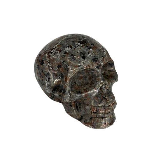 Yooperlite Skull $69.99