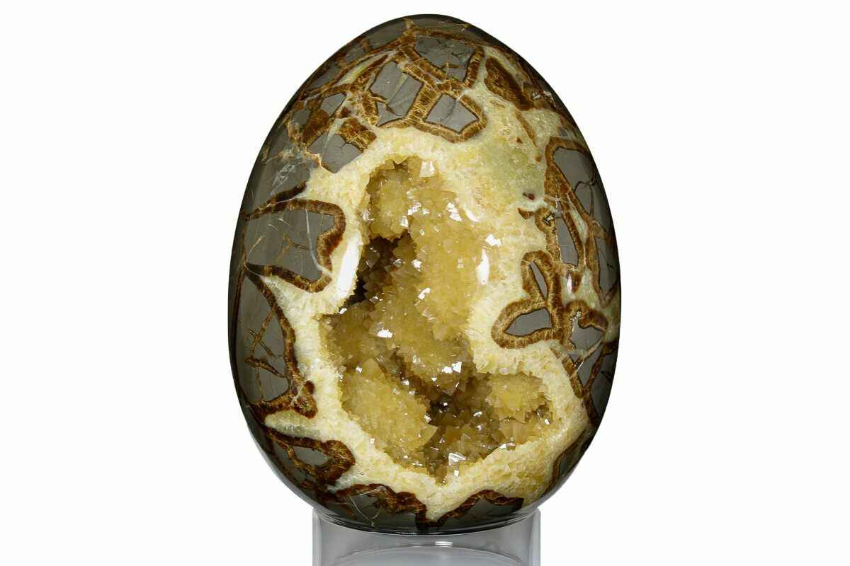 Septarian Egg $25.00
