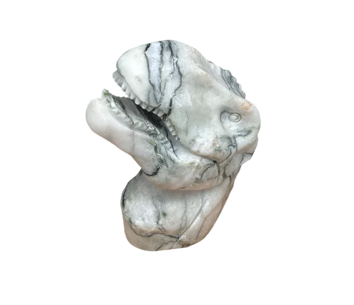 Picasso Jasper T-rex Head $200.00