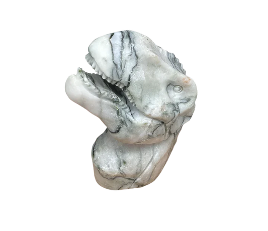 Picasso Jasper T-rex Head $200.00