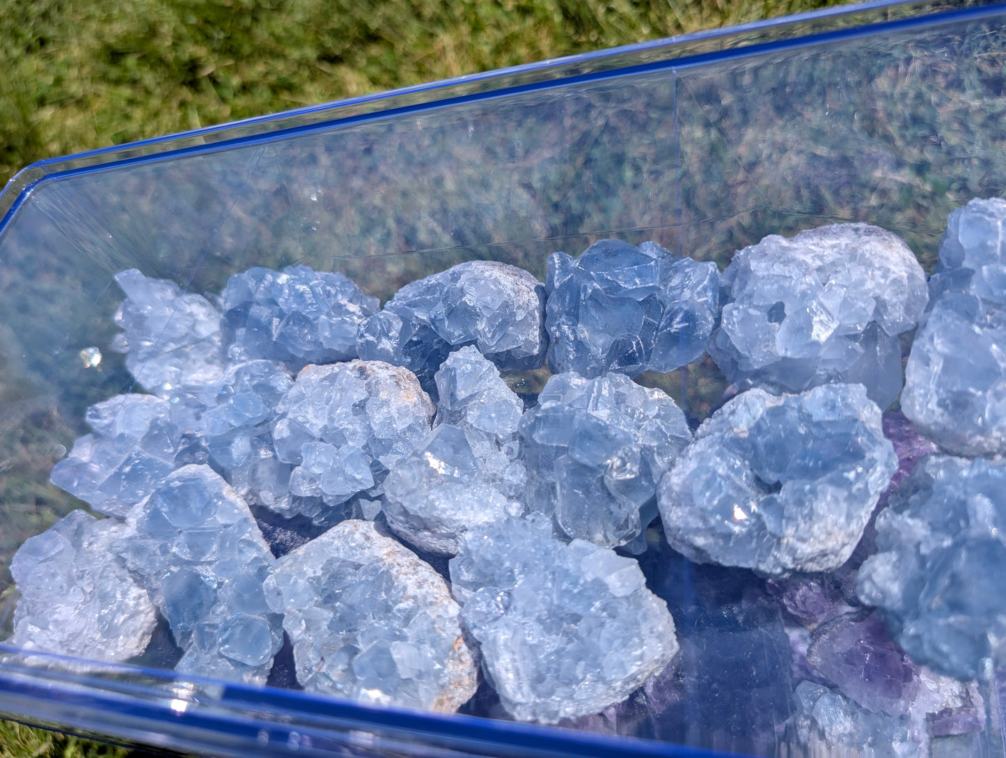 Celestite Clusters
