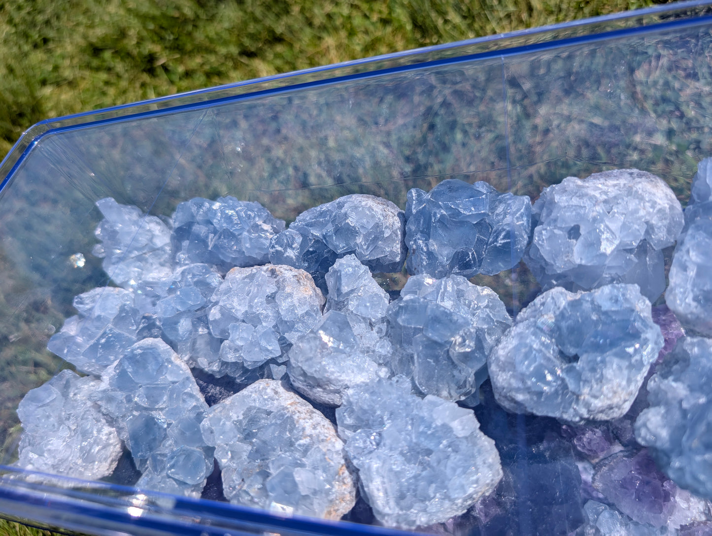 Celestite Clusters