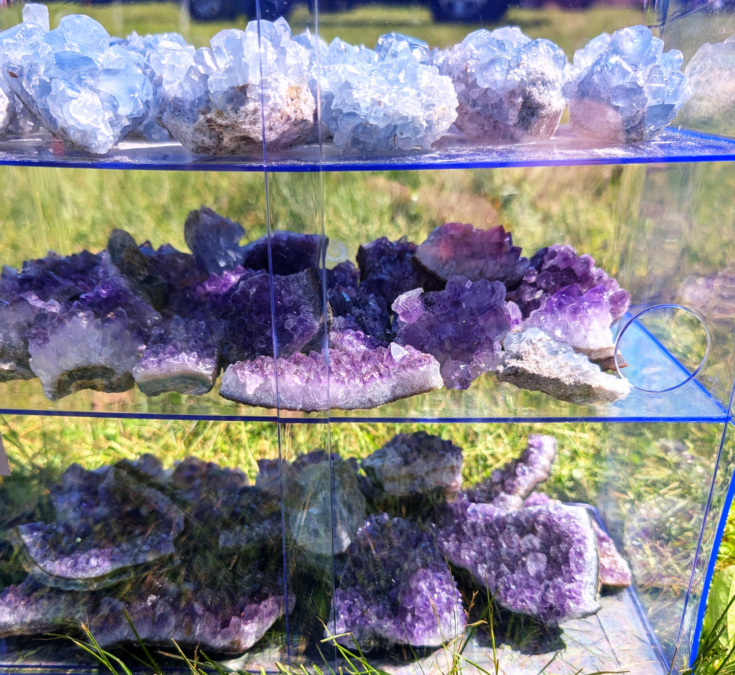 Celestite Clusters