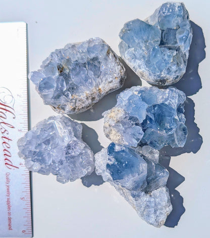 Celestite Clusters