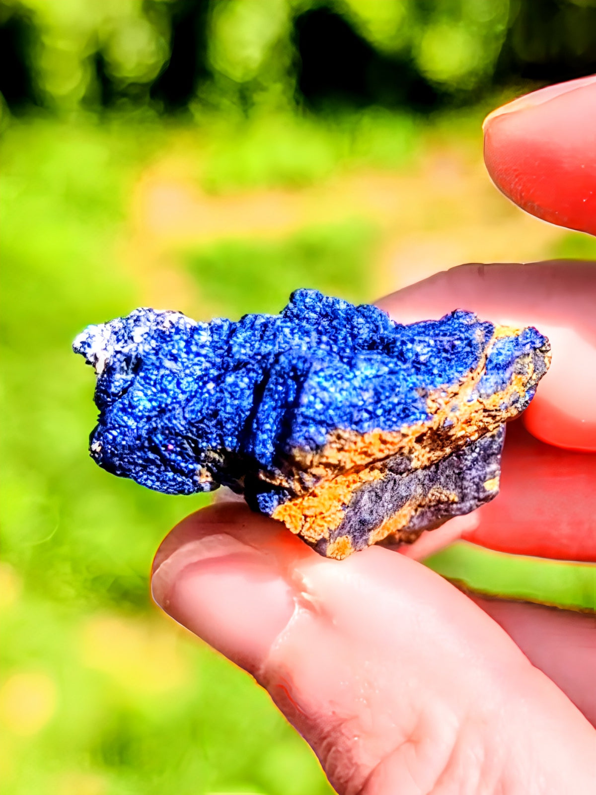 Specimen Quality Covellite from Butte Mine – Rare Electric Blue Montana Mineral