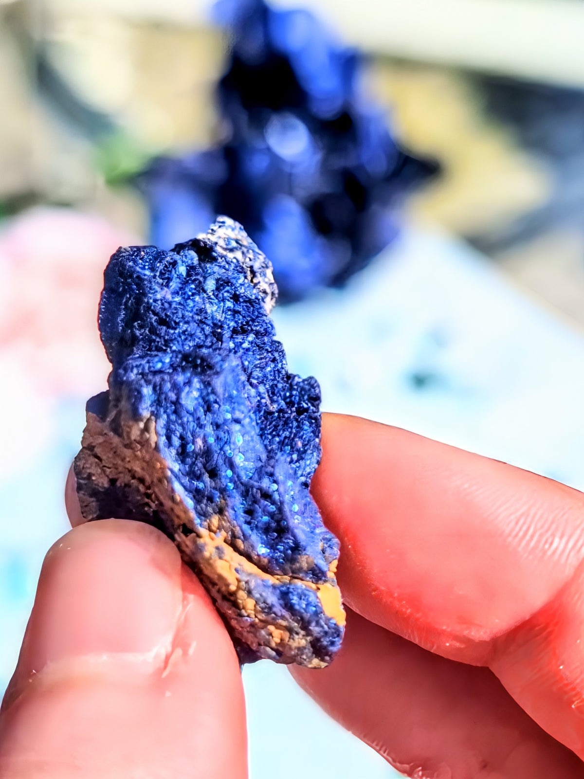 Specimen Quality Covellite from Butte Mine – Rare Electric Blue Montana Mineral
