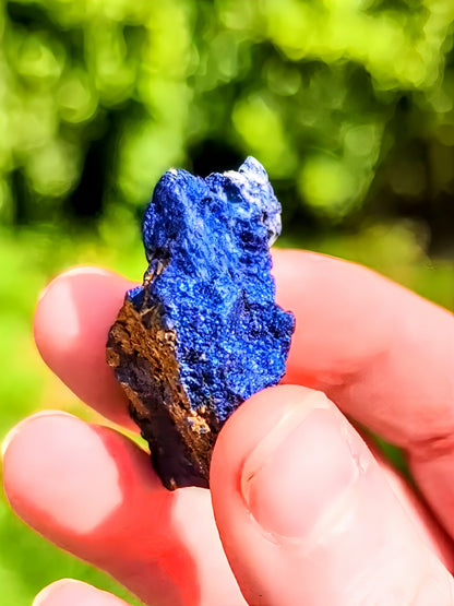 Specimen Quality Covellite from Butte Mine – Rare Electric Blue Montana Mineral