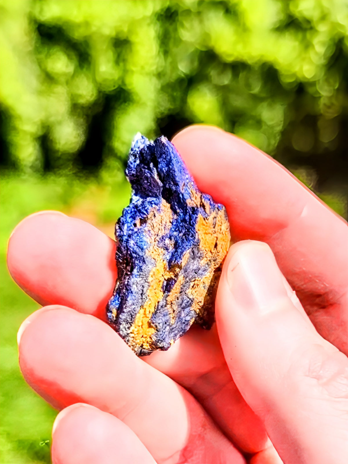 Specimen Quality Covellite from Butte Mine – Rare Electric Blue Montana Mineral