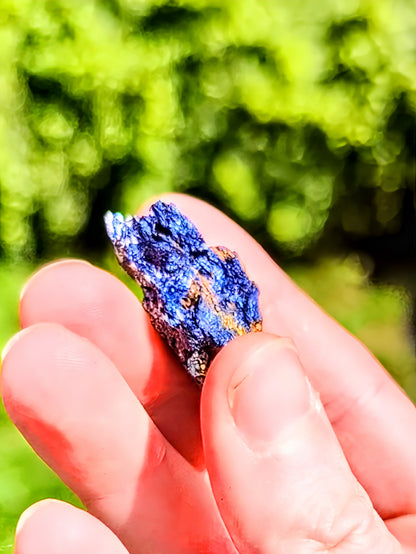 Specimen Quality Covellite from Butte Mine – Rare Electric Blue Montana Mineral