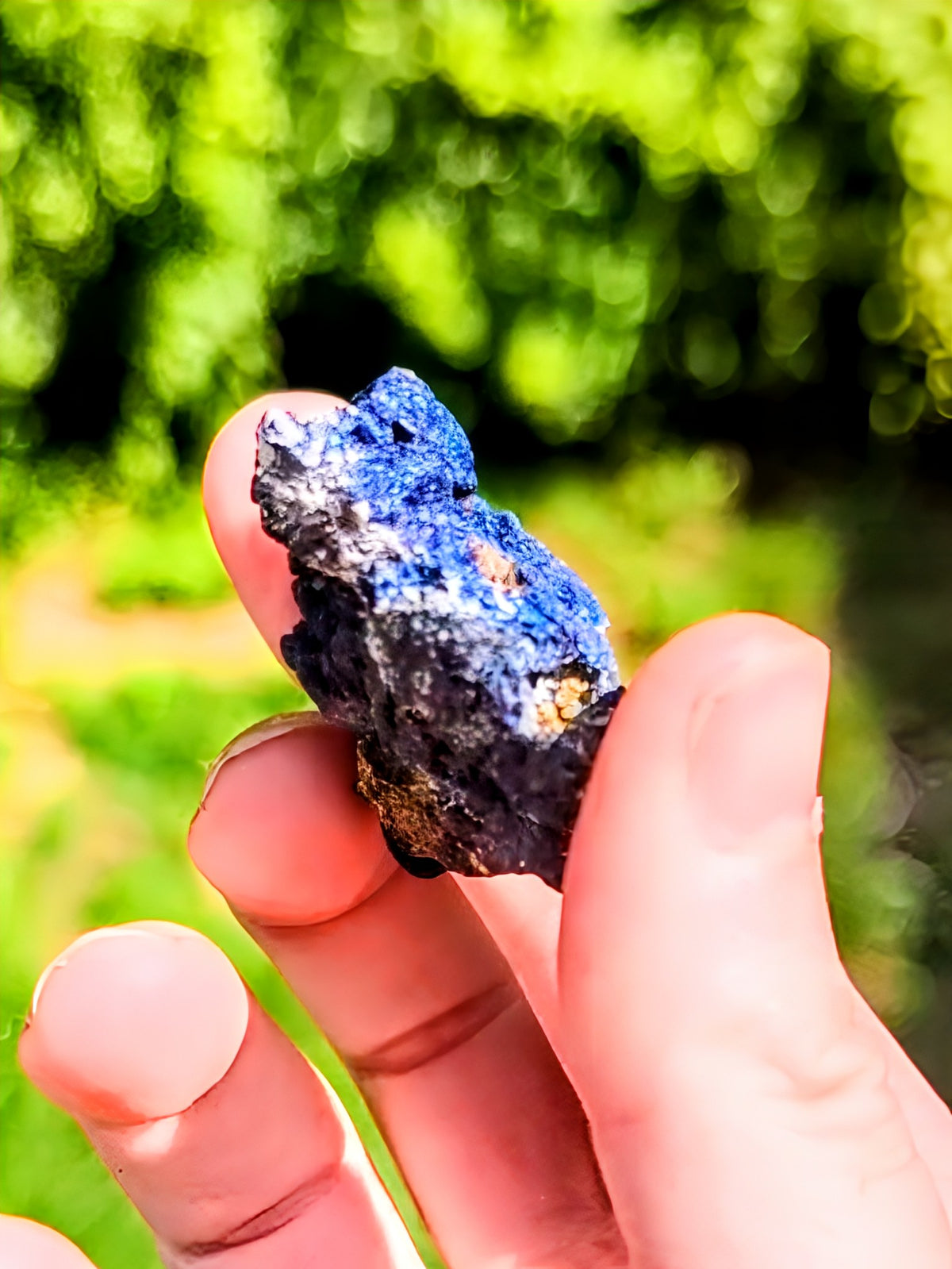 Specimen Quality Covellite from Butte Mine – Rare Electric Blue Montana Mineral