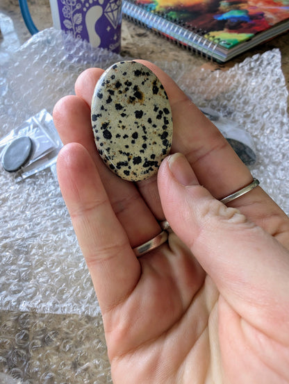 Dalmatian Jasper Cabochon Creation