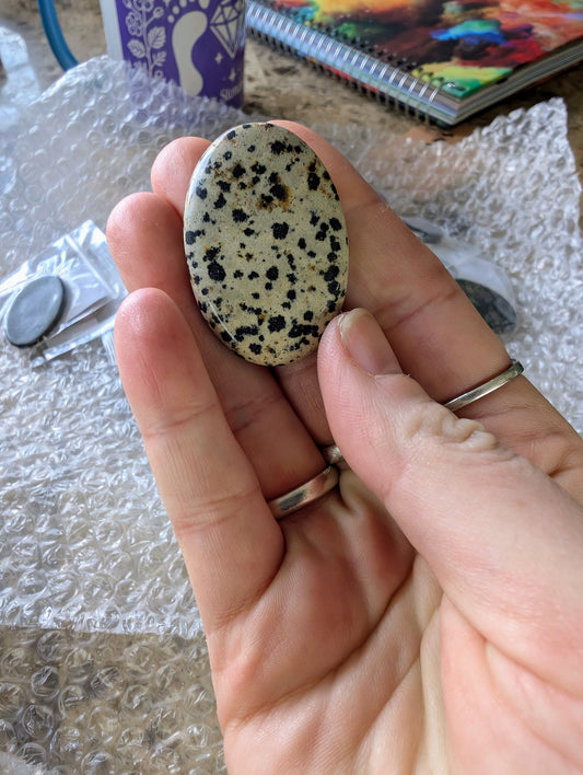 Dalmatian Jasper Cabochon Creation