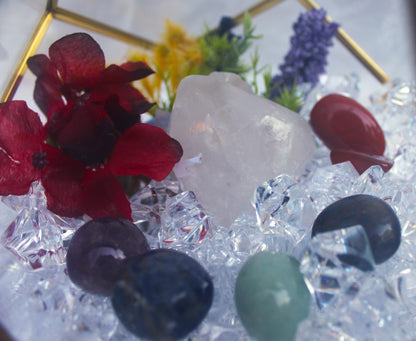 Crystal Geode Terrarium Quartz - Aligned Again