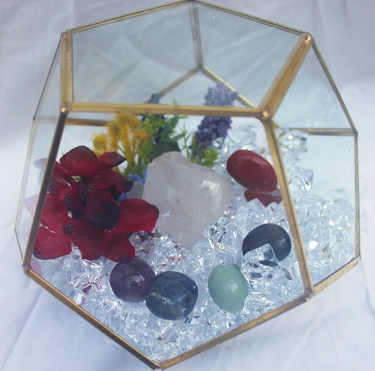 Crystal Geode Terrarium Quartz - Aligned Again
