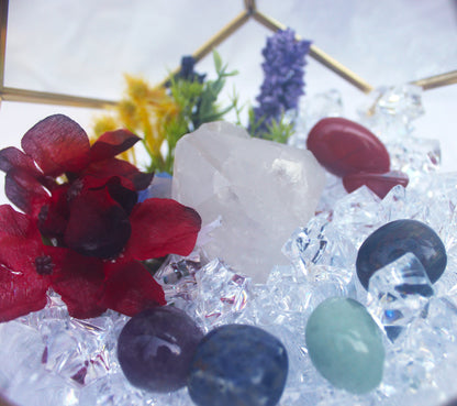 Crystal Geode Terrarium Quartz - Aligned Again
