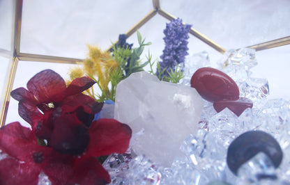 Crystal Geode Terrarium Quartz - Aligned Again