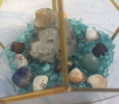 Crystal Geode Terrarium Scalenohedral Calcite - Dogtooth Tides