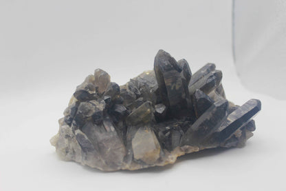 Smoky Quartz Cluster