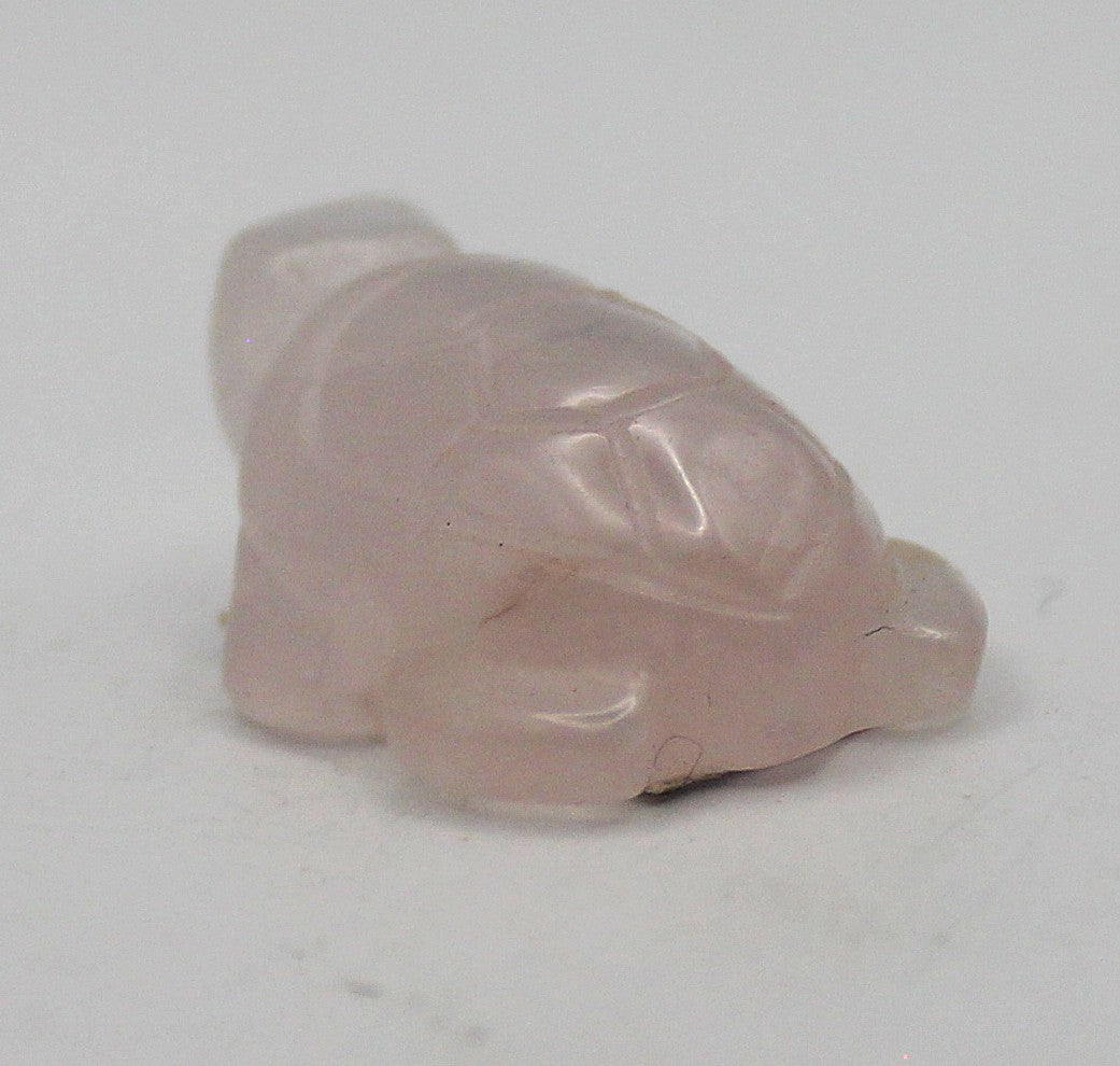 Mini Crystal Turtle