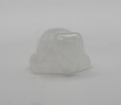 Mini Crystal Turtle