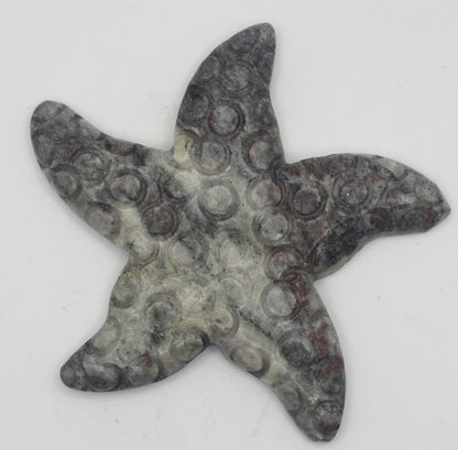 Jasper Starfish