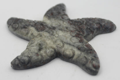 Jasper Starfish