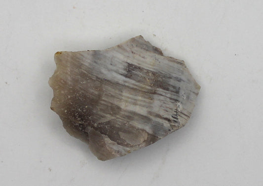 Raw Petrified Wood