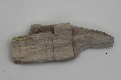 Raw Petrified Wood