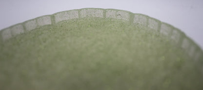 Resin Mushroom Woodsy Trinket Tray