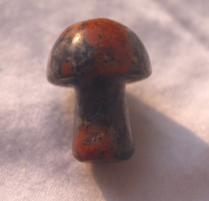 Mini Mushrooms