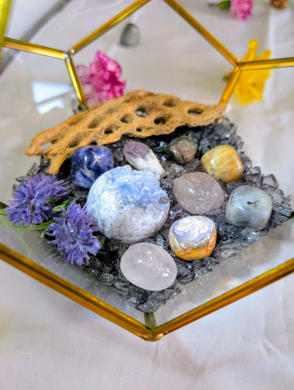 Celestine Serenity Crystal Geode Terrarium