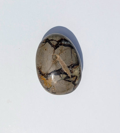 Septarian Palm Stones