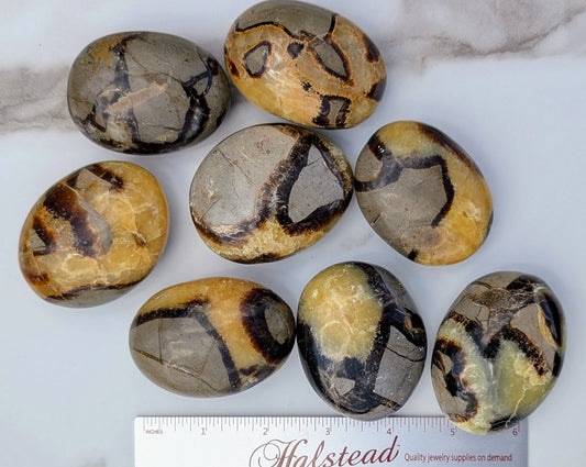 Septarian Palm Stones