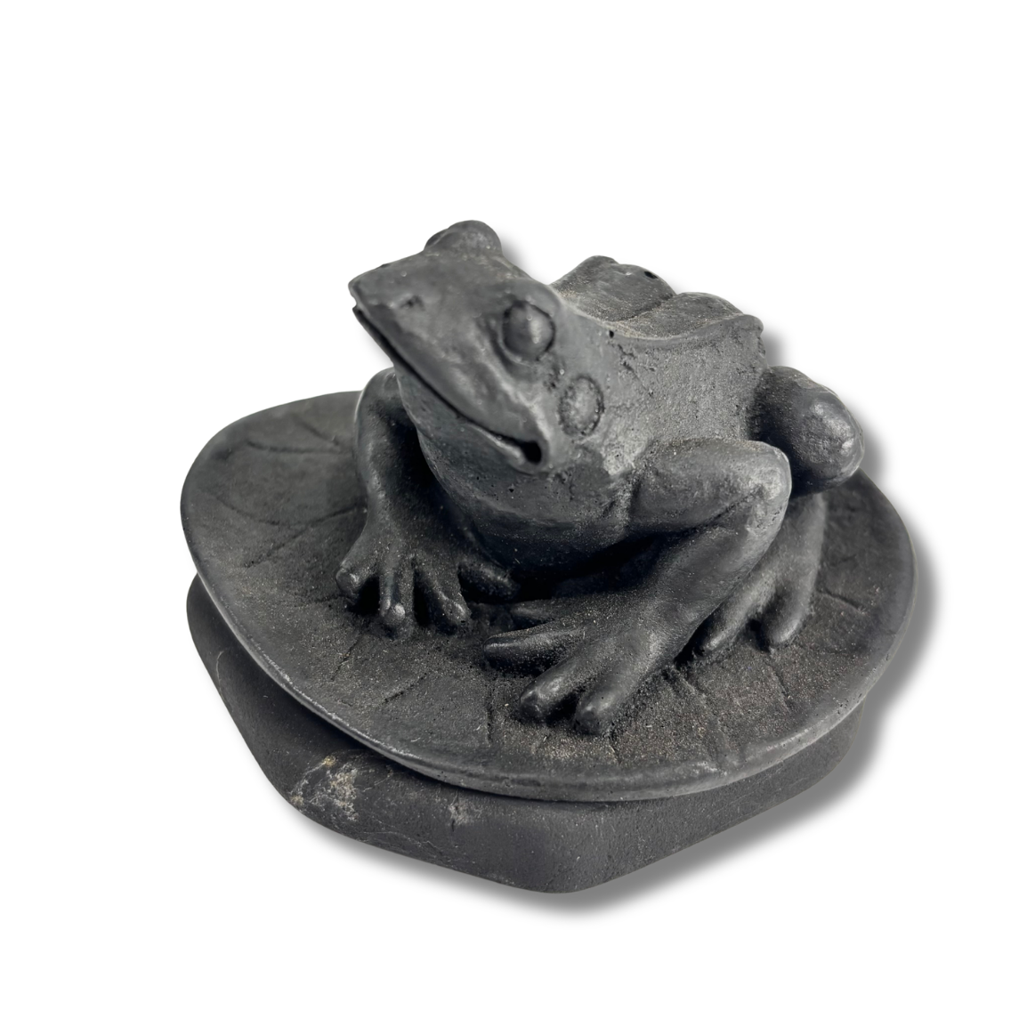 Shungite Frog