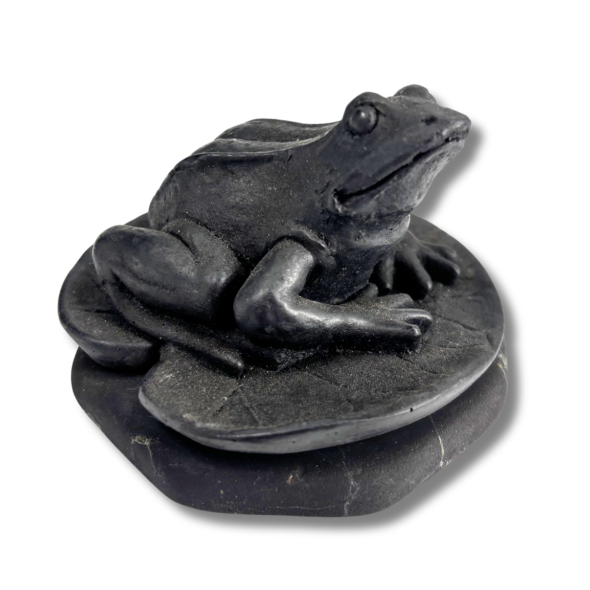 Shungite Frog