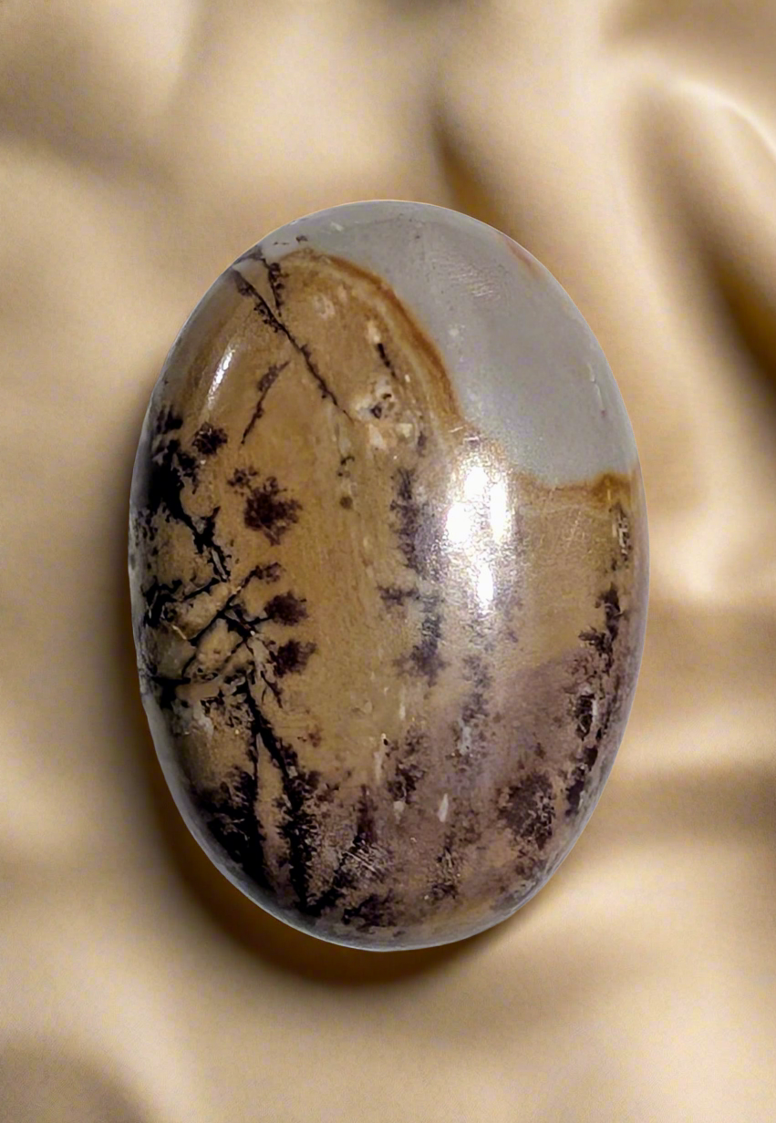Sonoran Dendritic Cabochon