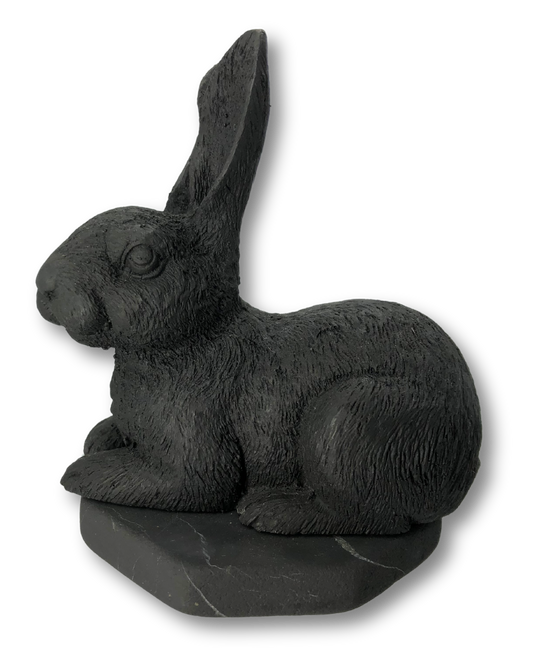 Shungite Rabbit