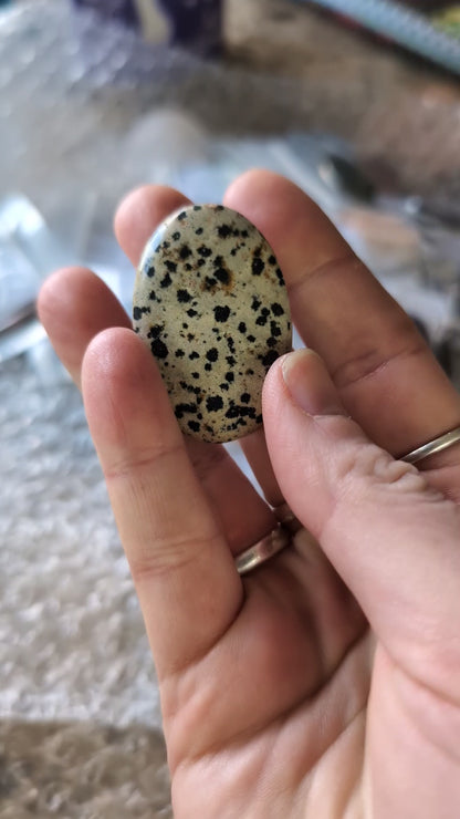 Dalmatian Jasper Cabochon Creation