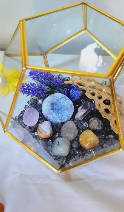 Celestine Serenity Crystal Geode Terrarium